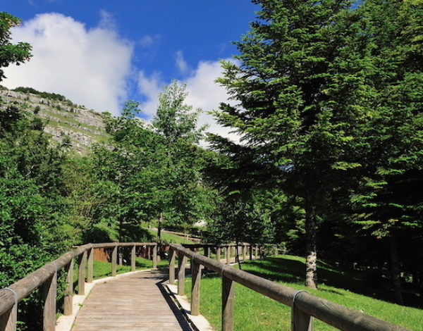 55 years of the Garden of the Apennine flora of Capracotta (Isernia)